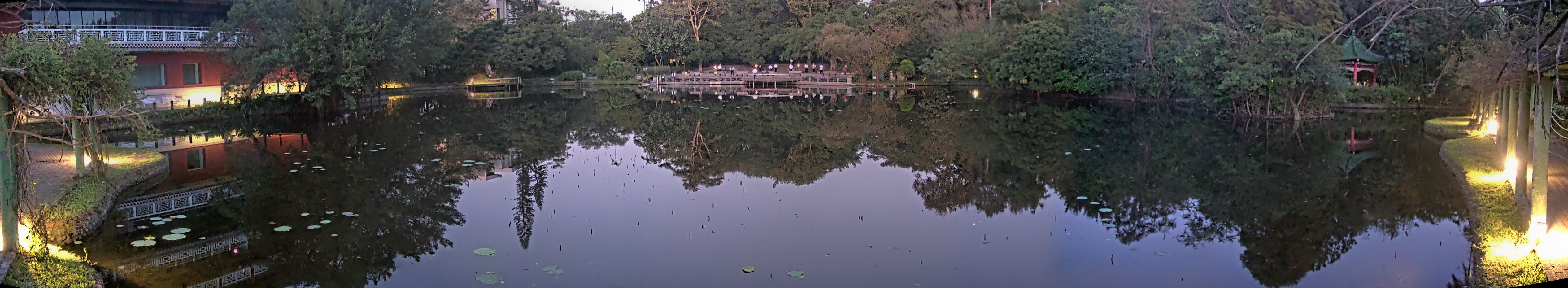 拍照日期:2024-11-28 時間:5時