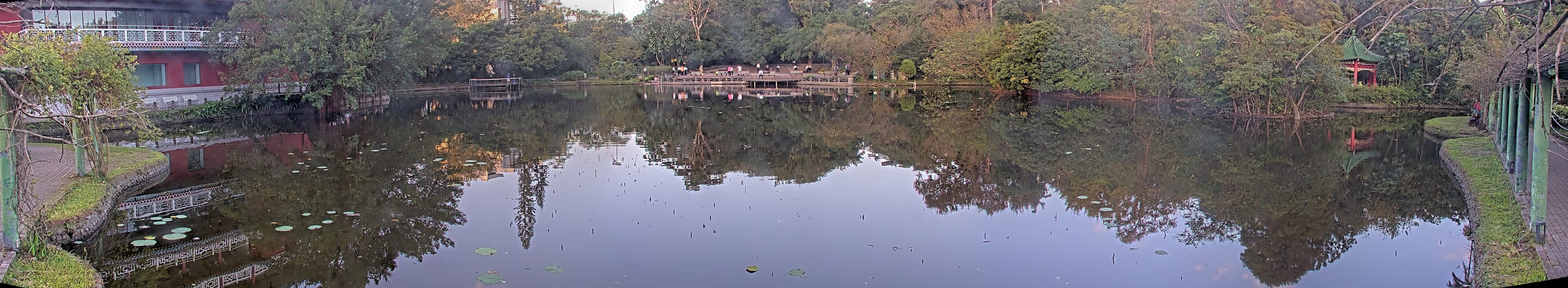 拍照日期:2024-11-28 時間:6時