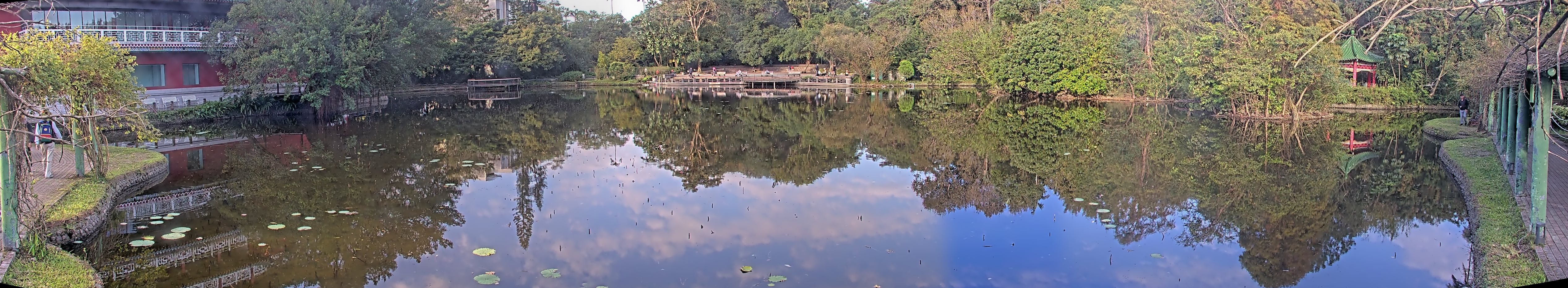 拍照日期:2024-11-28 時間:7時