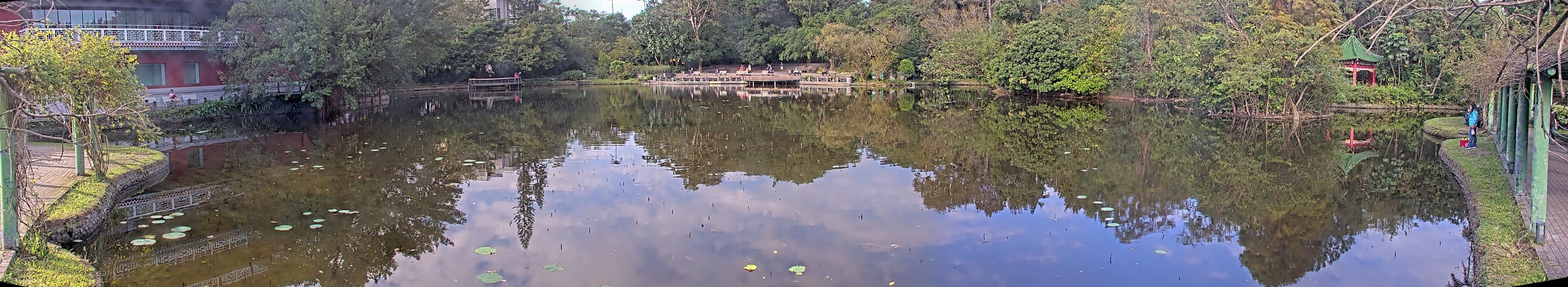 拍照日期:2024-11-28 時間:8時