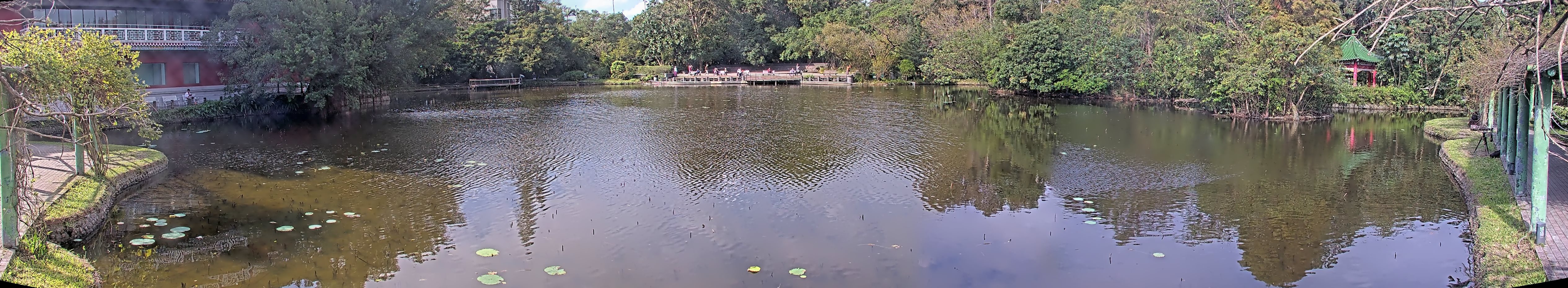 拍照日期:2024-11-28 時間:9時