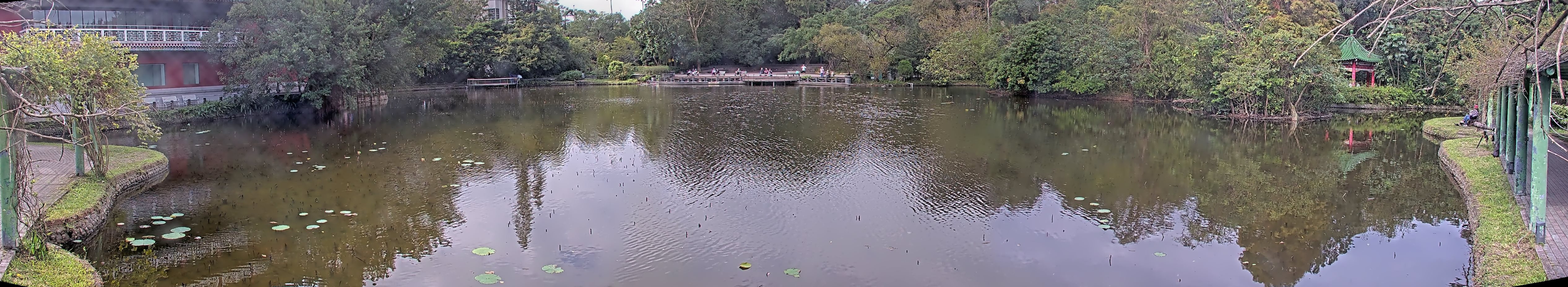 拍照日期:2024-11-28 時間:10時