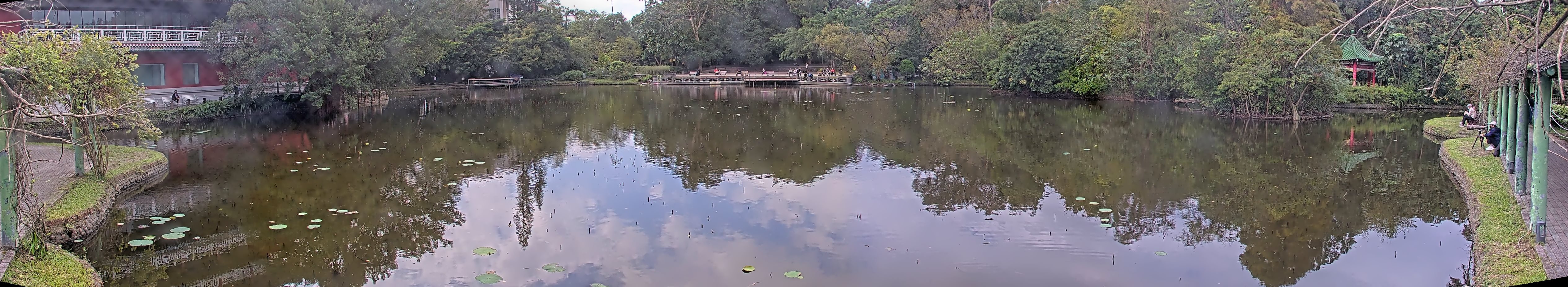 拍照日期:2024-11-28 時間:11時