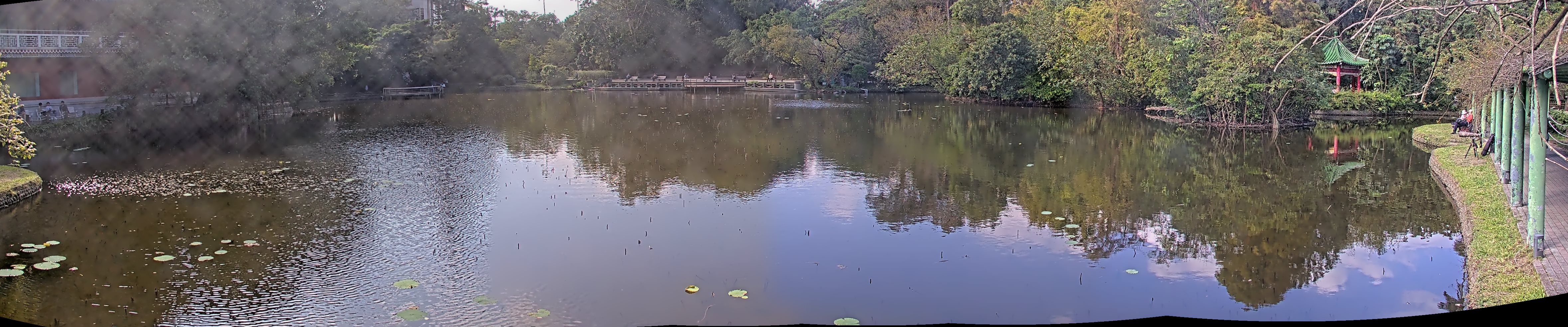 拍照日期:2024-11-28 時間:12時