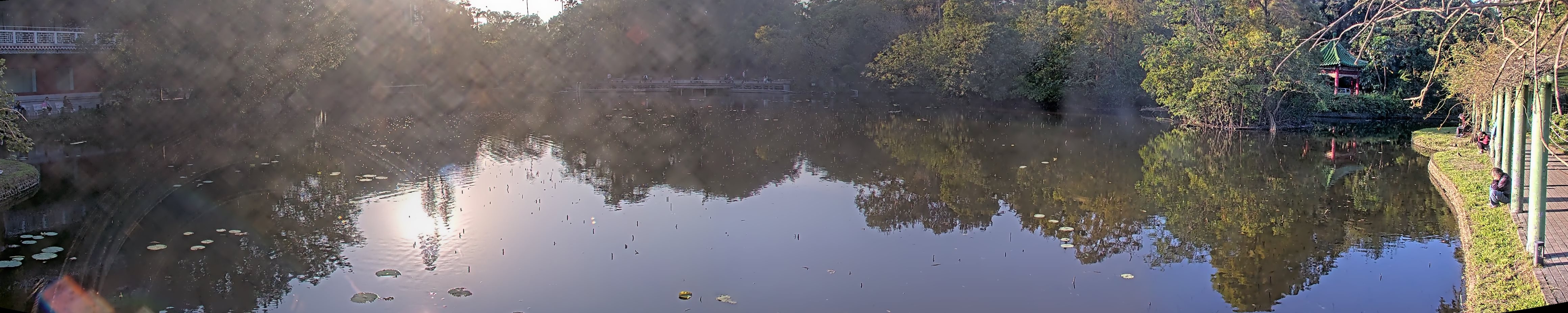 拍照日期:2024-11-28 時間:15時