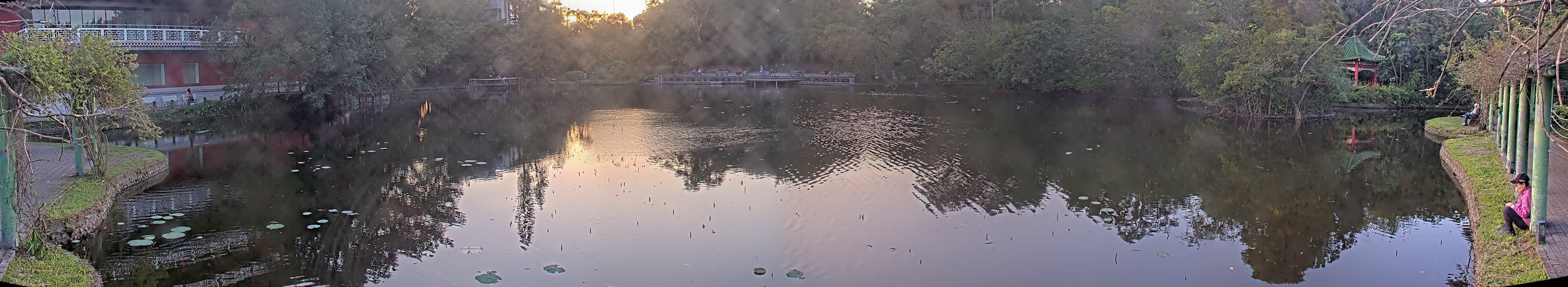 拍照日期:2024-11-28 時間:16時