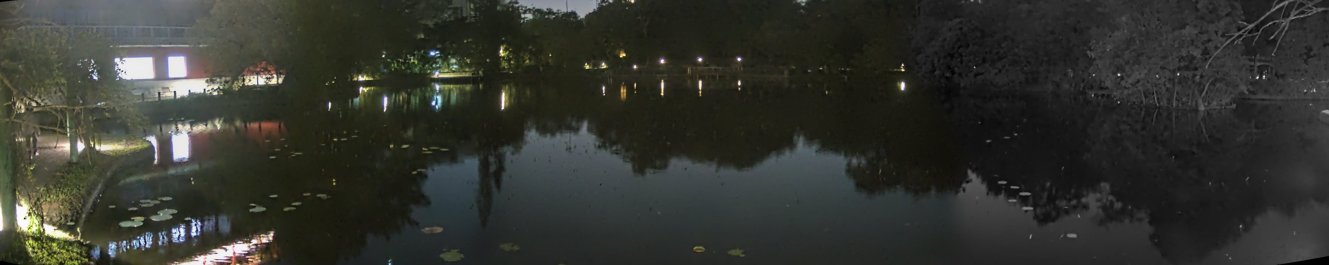 拍照日期:2024-11-28 時間:17時