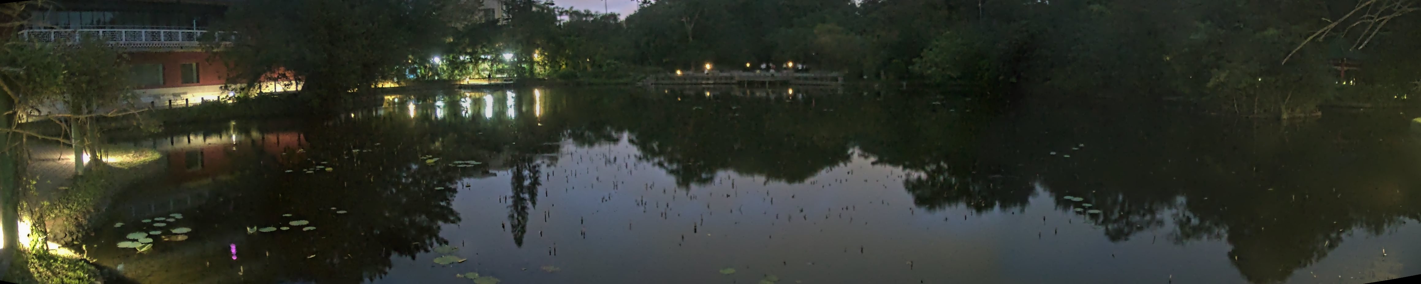 拍照日期:2024-12-10 時間:5時