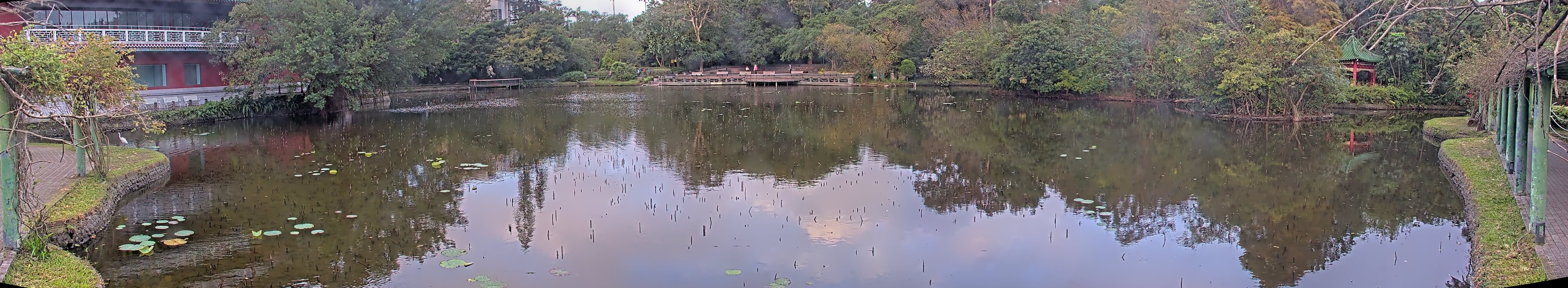 拍照日期:2024-12-10 時間:6時