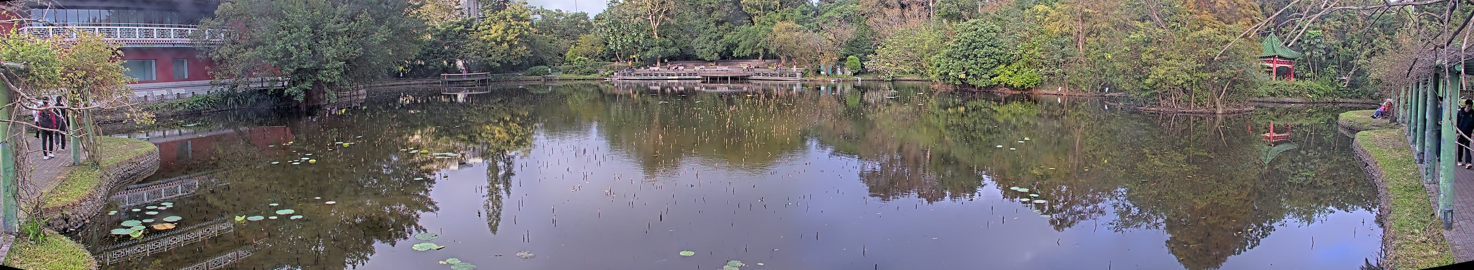 拍照日期:2024-12-10 時間:7時