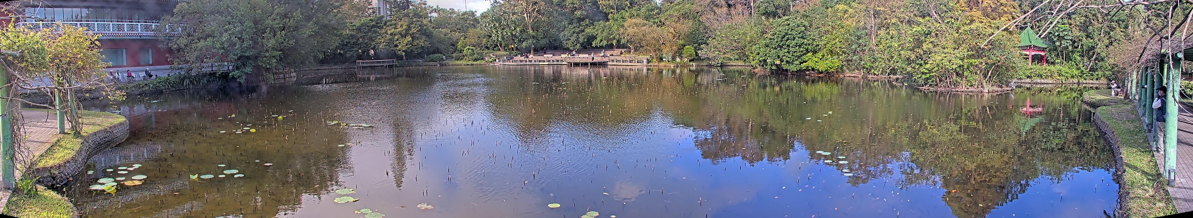 拍照日期:2024-12-10 時間:8時