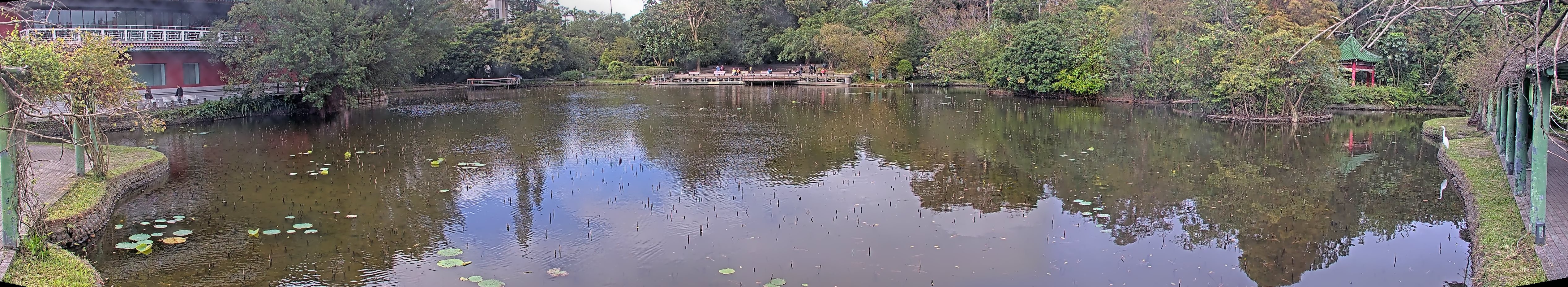 拍照日期:2024-12-10 時間:9時