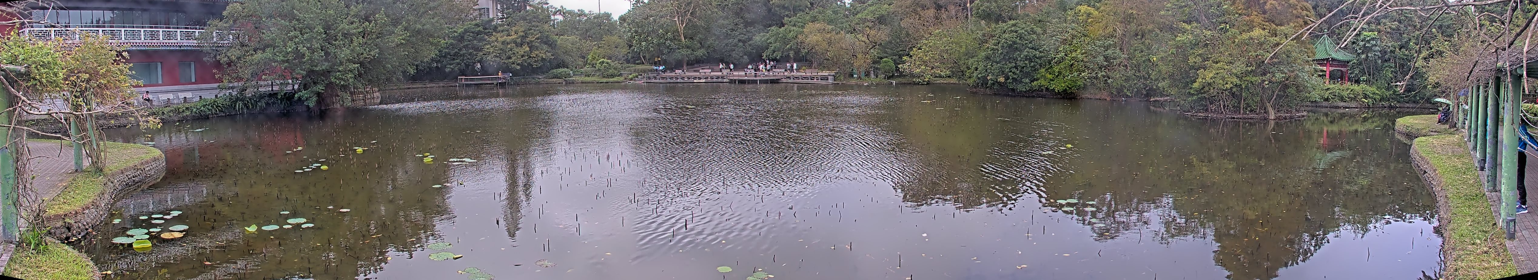 拍照日期:2024-12-10 時間:11時