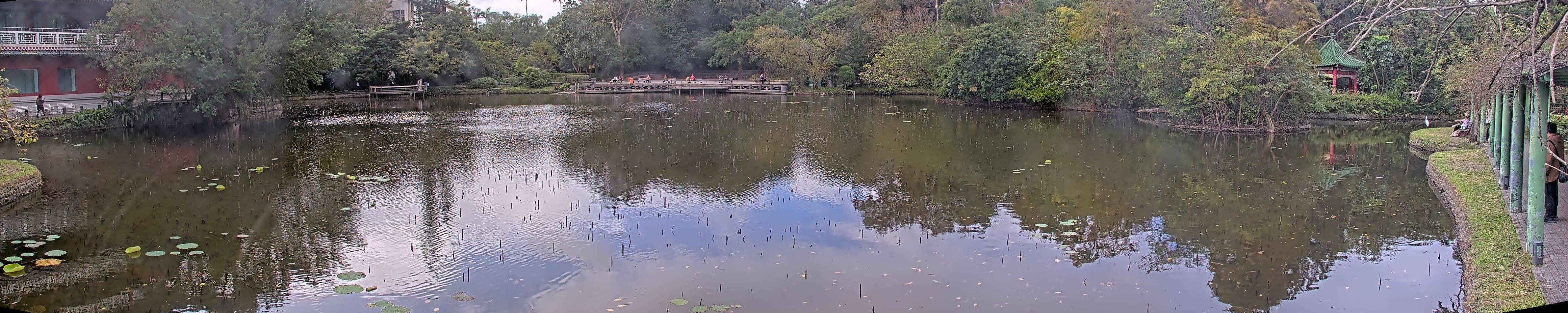 拍照日期:2024-12-10 時間:12時