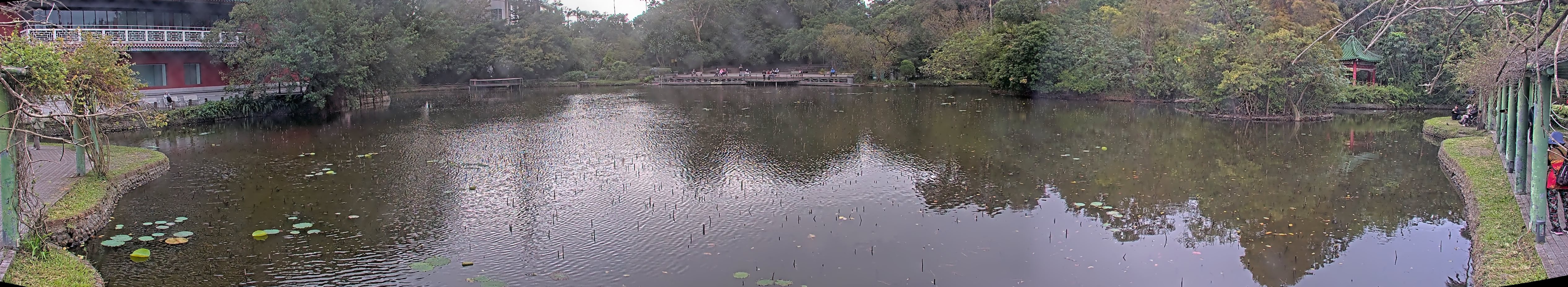 拍照日期:2024-12-10 時間:14時