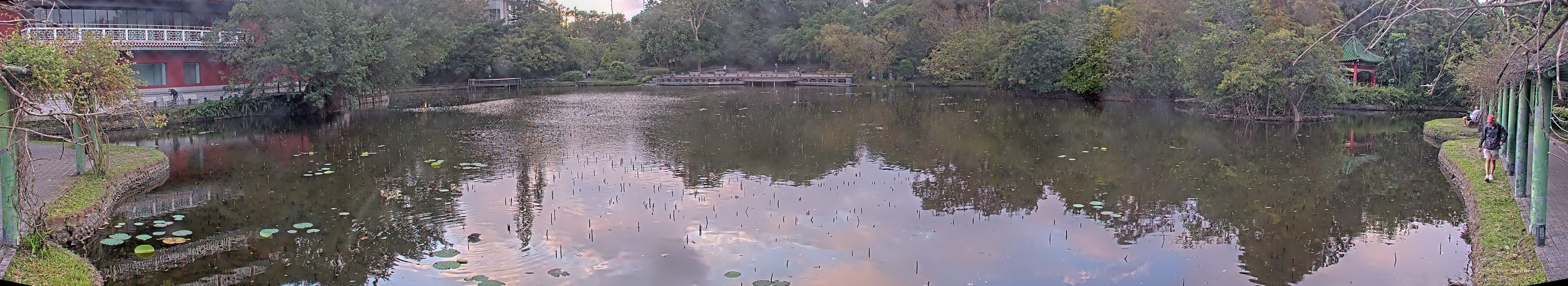 拍照日期:2024-12-10 時間:16時