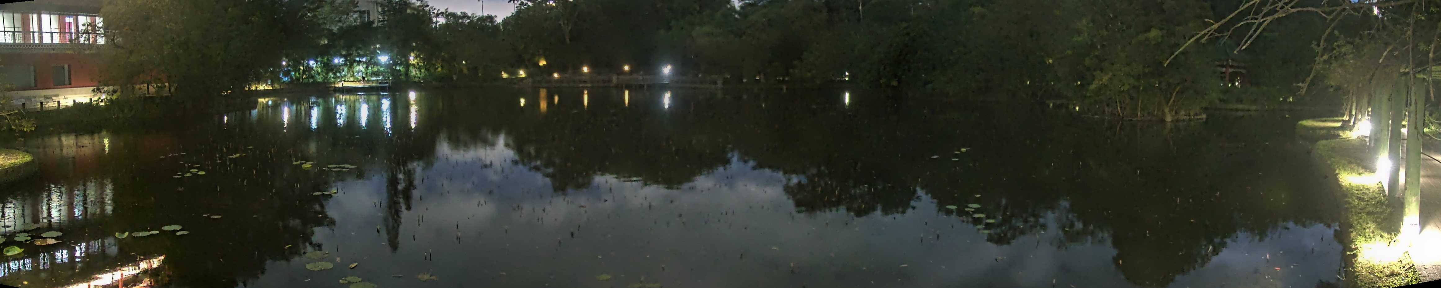 拍照日期:2024-12-10 時間:17時