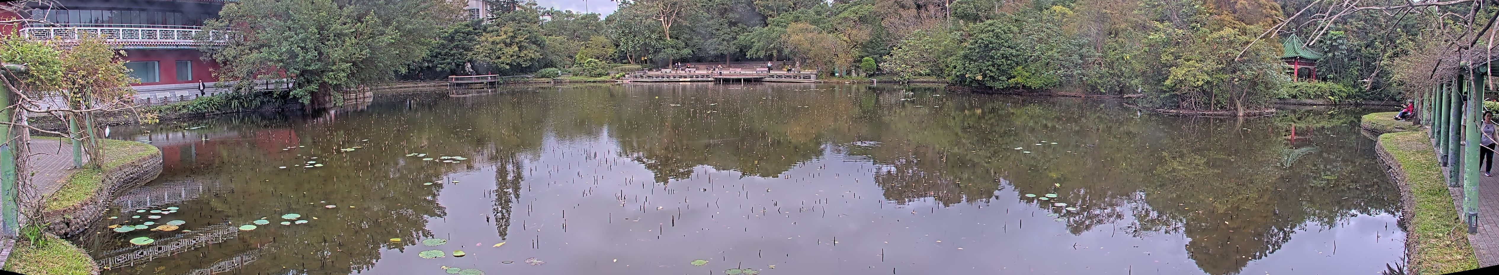 拍照日期:2024-12-12 時間:7時