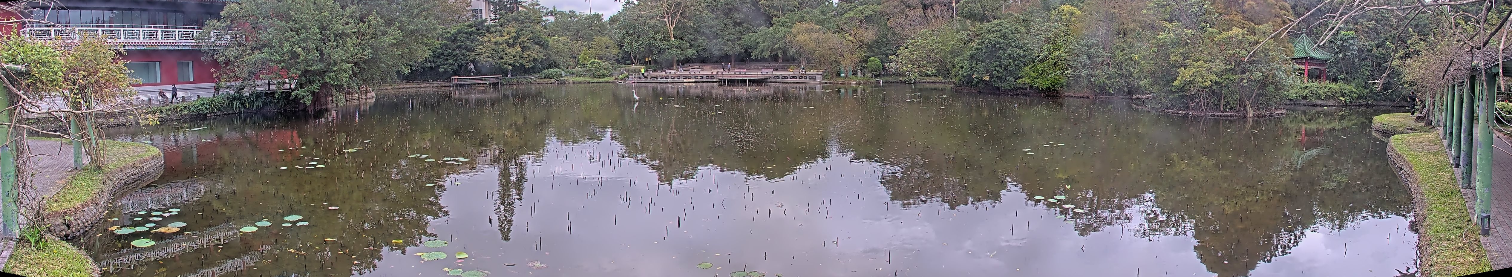 拍照日期:2024-12-12 時間:8時