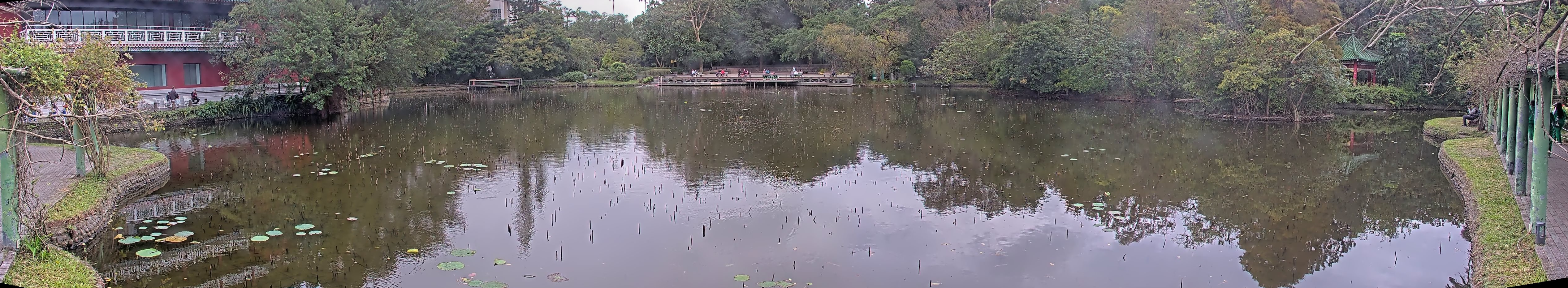 拍照日期:2024-12-12 時間:9時