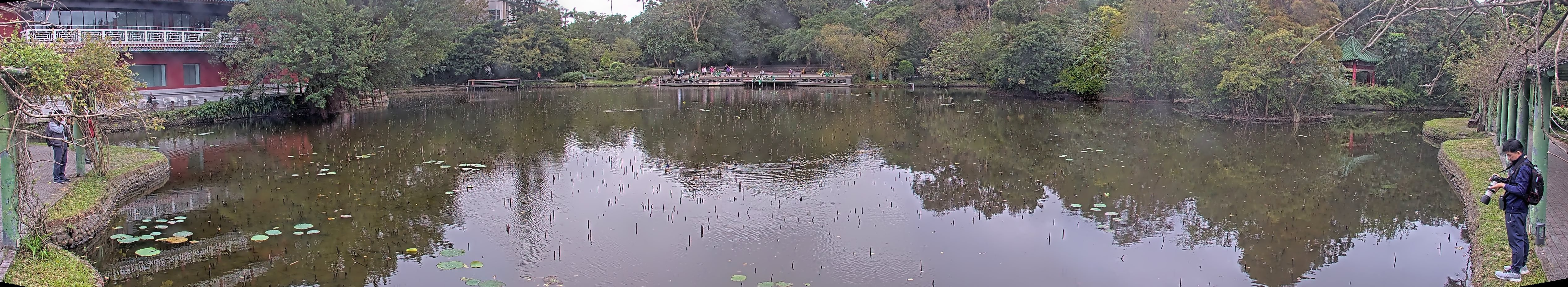 拍照日期:2024-12-12 時間:10時