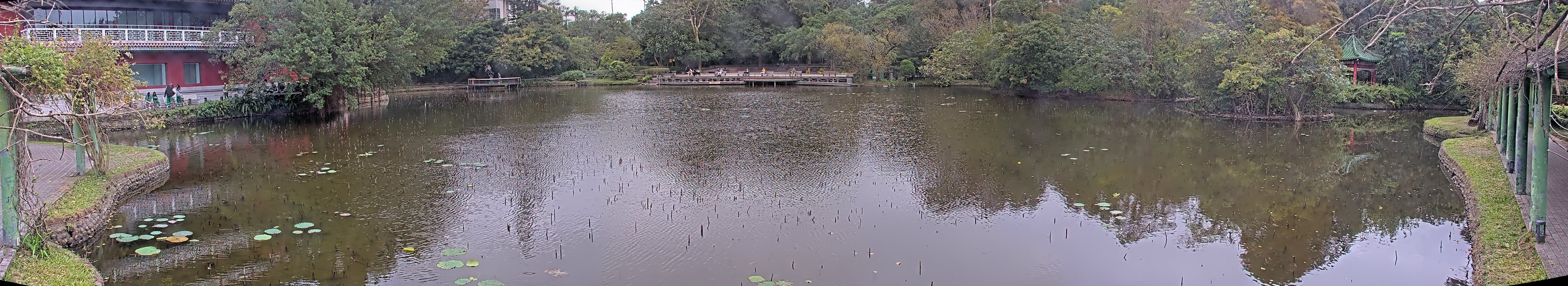 拍照日期:2024-12-12 時間:12時