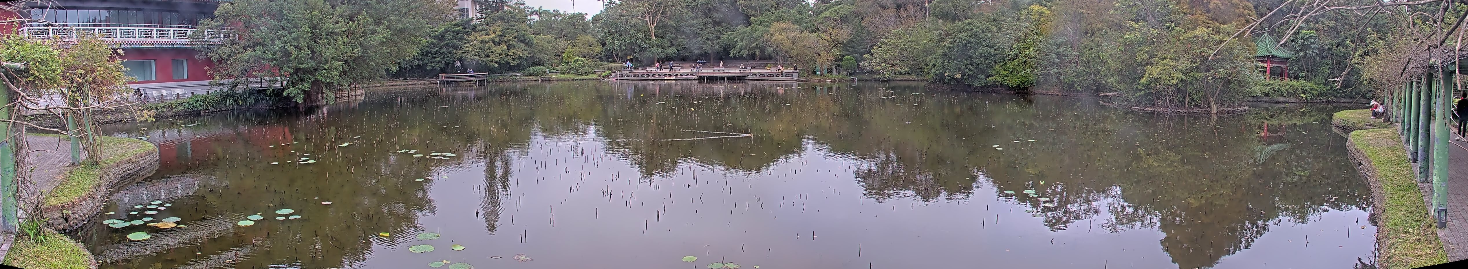 拍照日期:2024-12-12 時間:13時