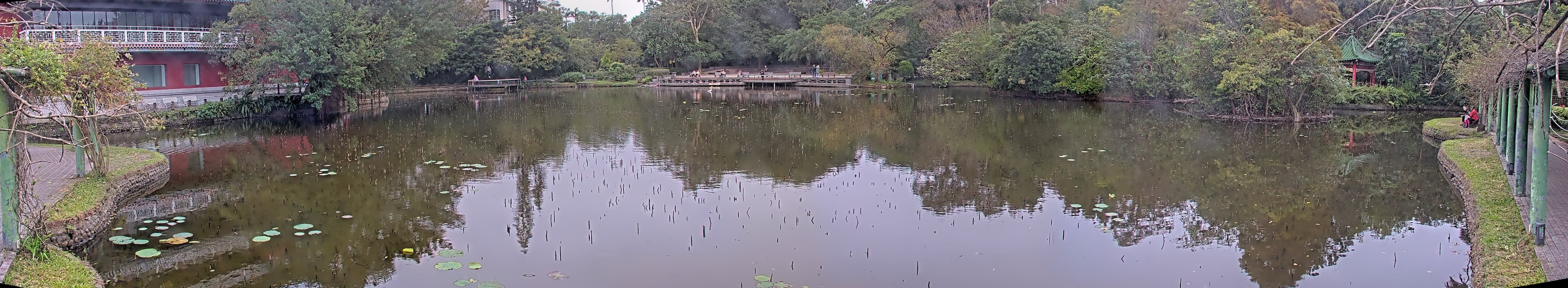 拍照日期:2024-12-12 時間:14時