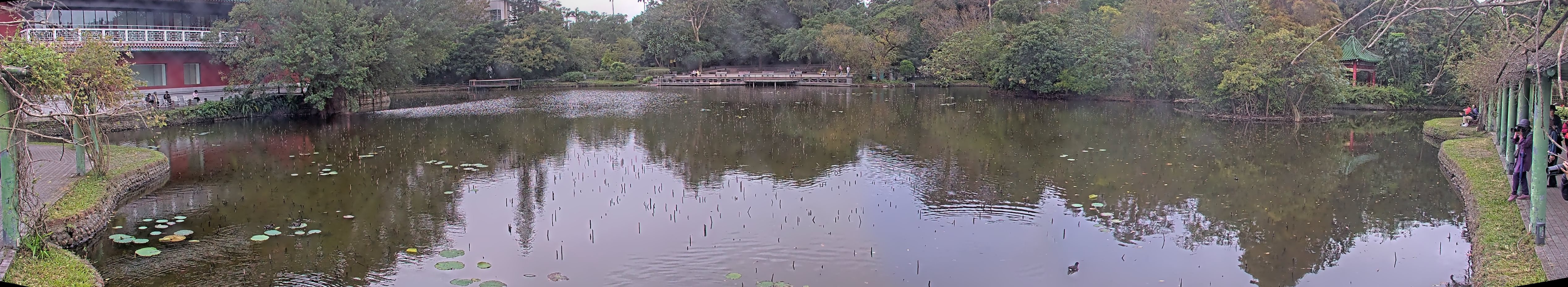 拍照日期:2024-12-12 時間:15時