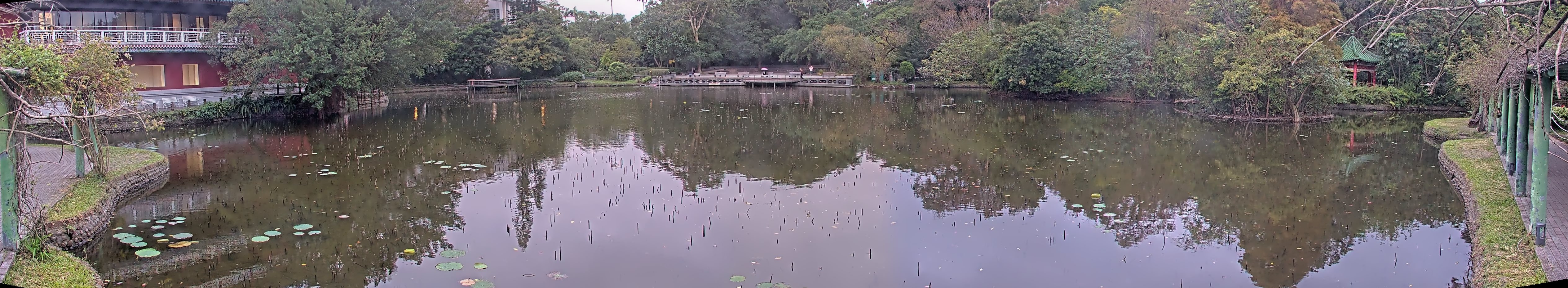 拍照日期:2024-12-12 時間:16時