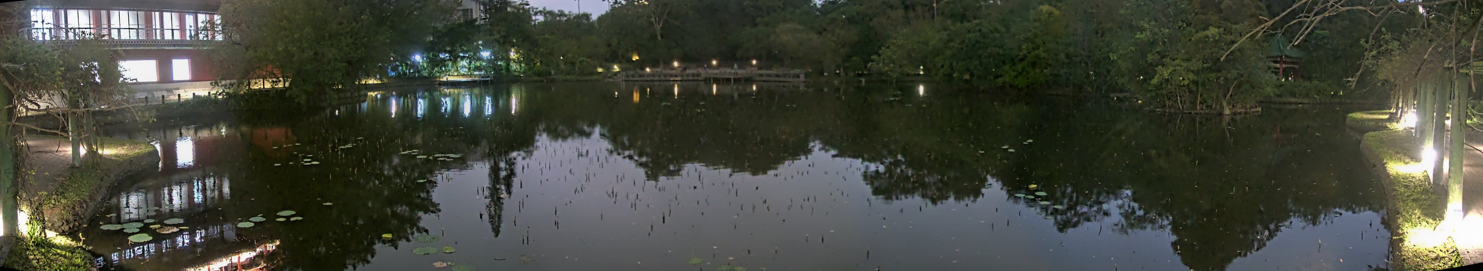 拍照日期:2024-12-12 時間:17時