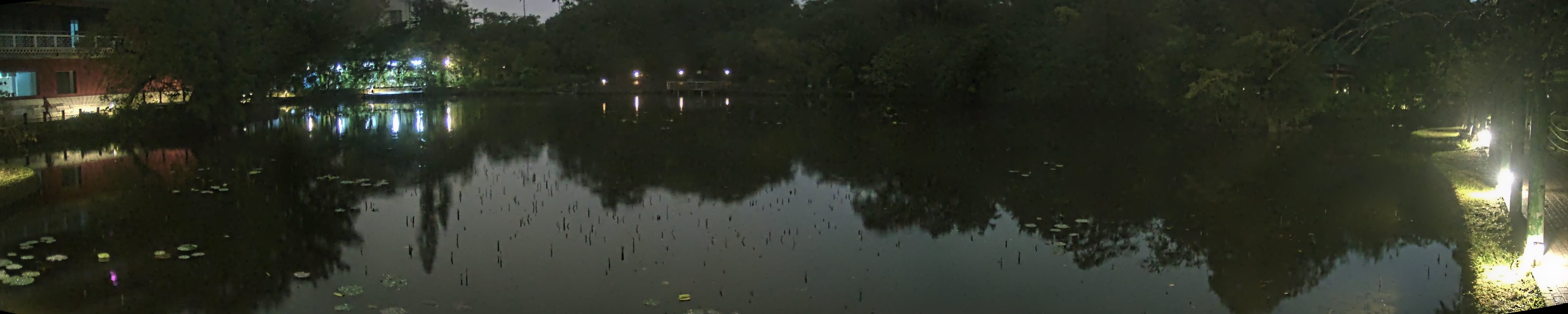 拍照日期:2024-12-24 時間:5時