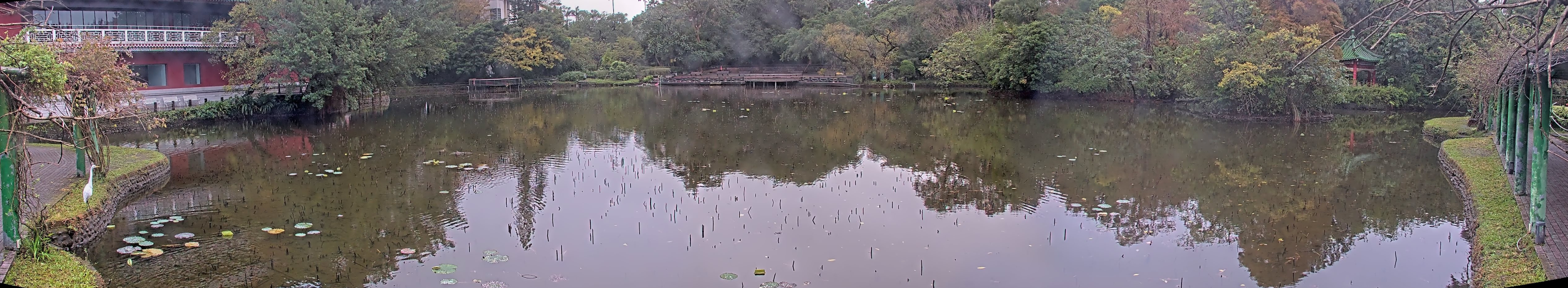 拍照日期:2024-12-24 時間:6時