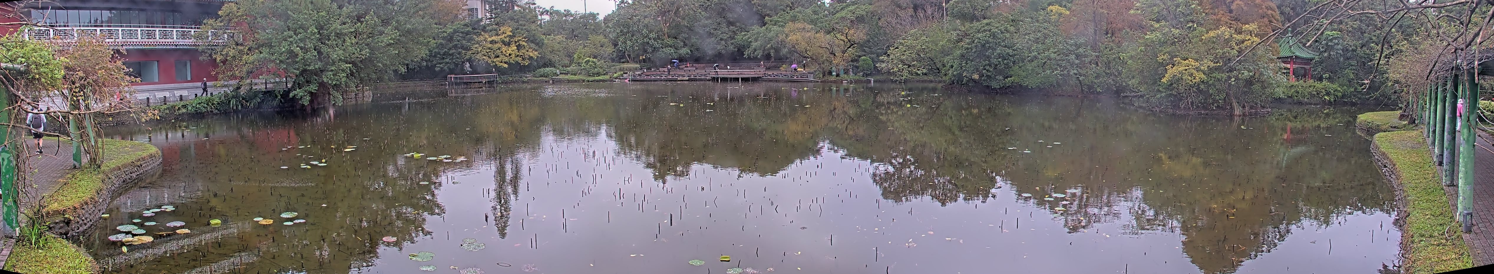 拍照日期:2024-12-24 時間:7時