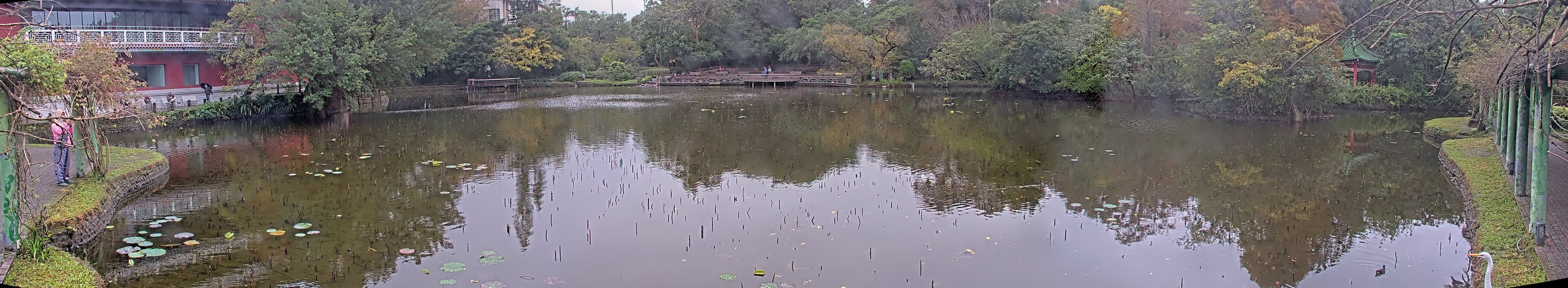 拍照日期:2024-12-24 時間:8時