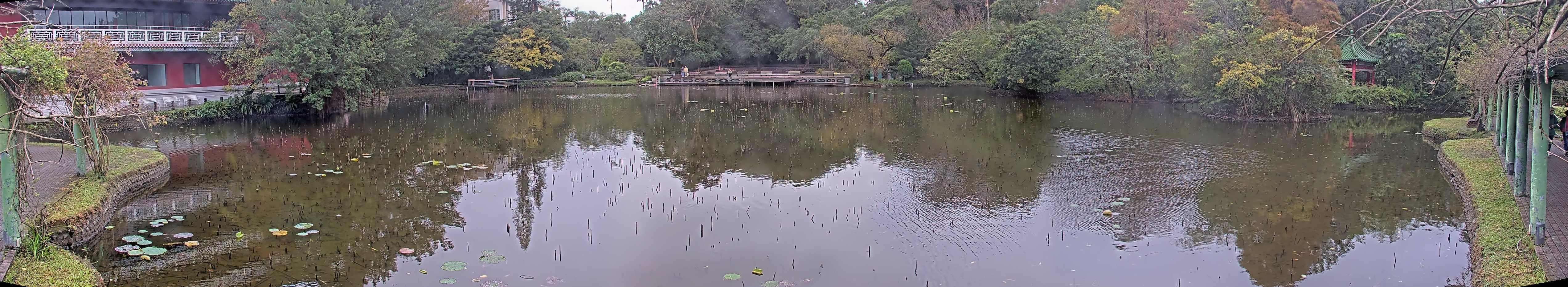 拍照日期:2024-12-24 時間:9時