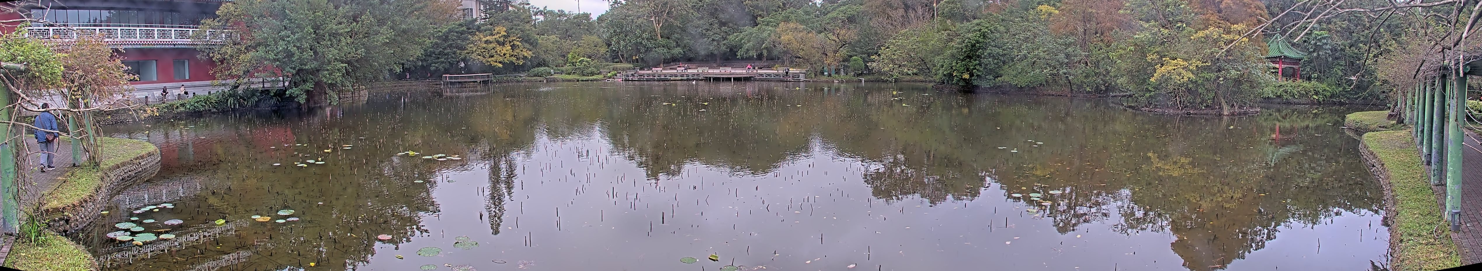 拍照日期:2024-12-24 時間:10時