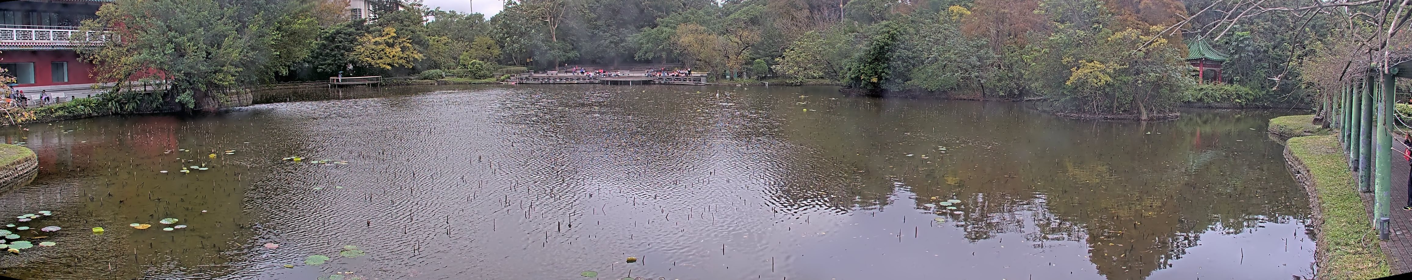 拍照日期:2024-12-24 時間:12時