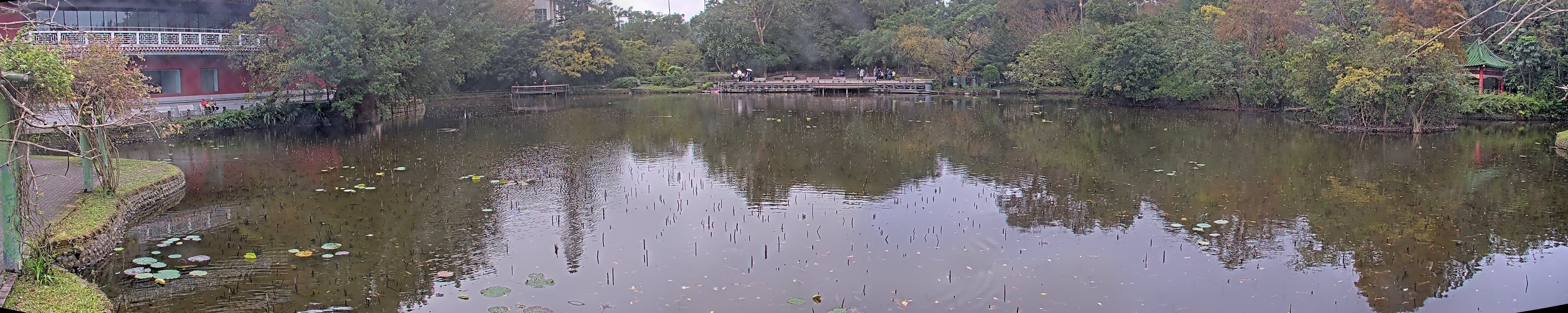 拍照日期:2024-12-24 時間:13時