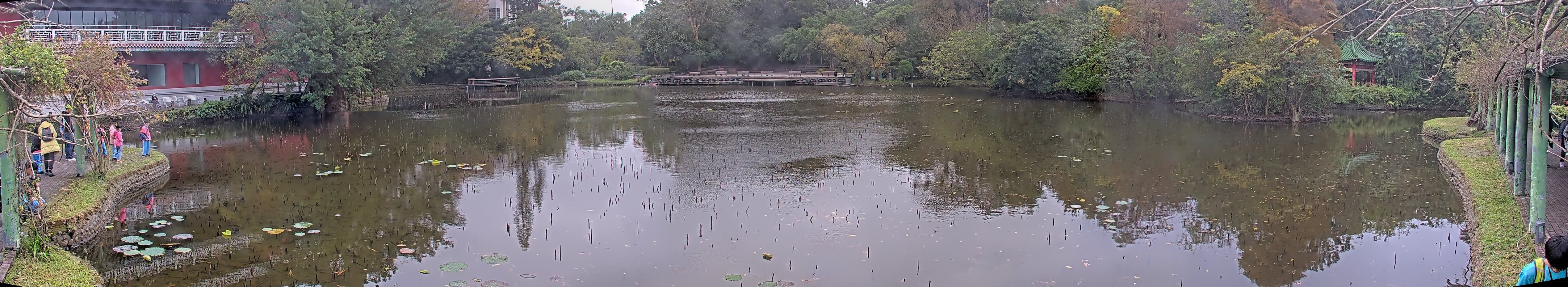 拍照日期:2024-12-24 時間:14時