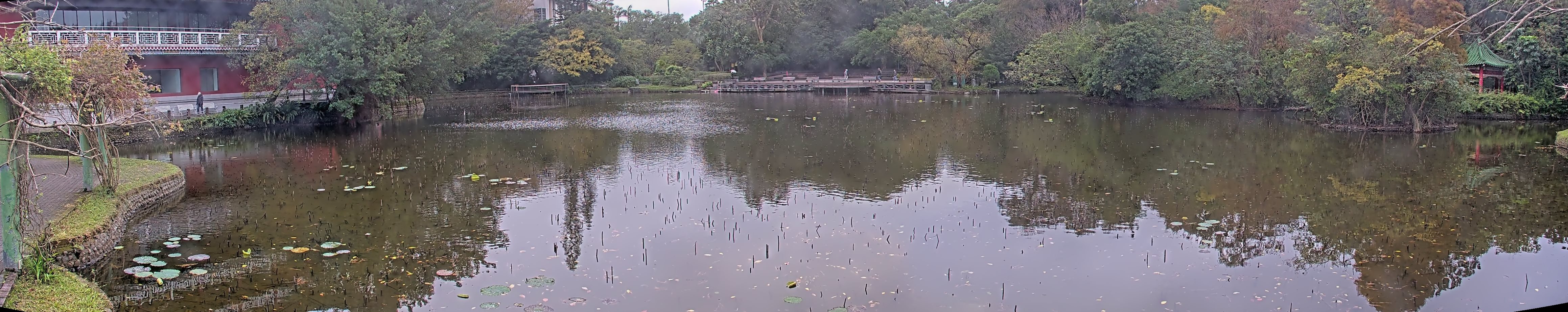 拍照日期:2024-12-24 時間:15時