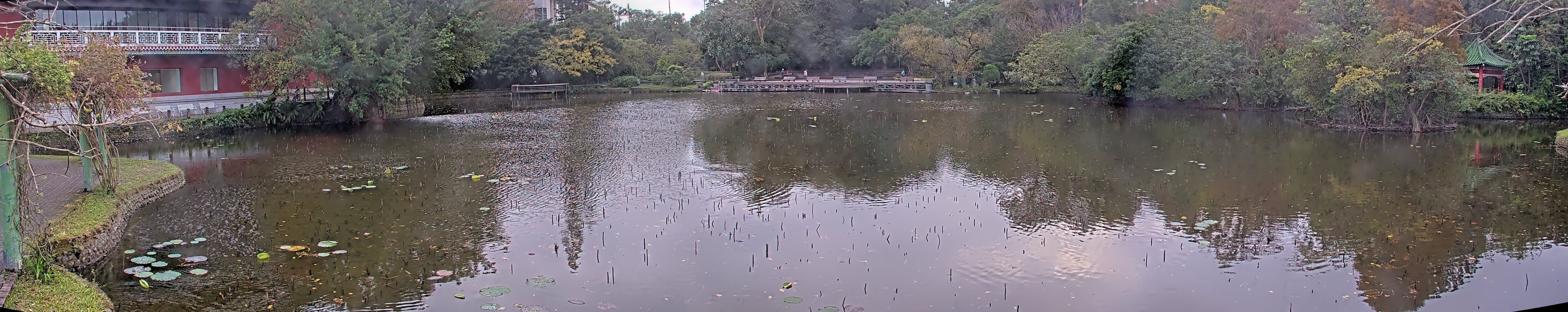 拍照日期:2024-12-24 時間:16時