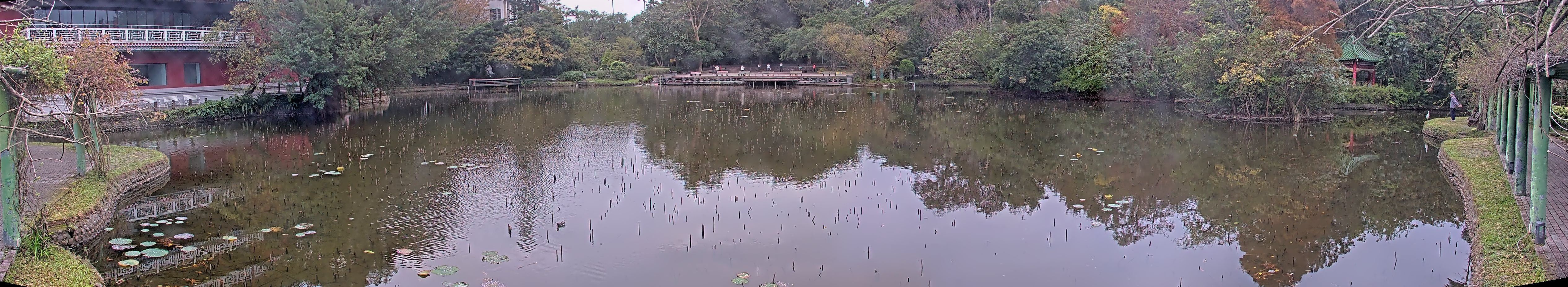 拍照日期:2024-12-28 時間:6時