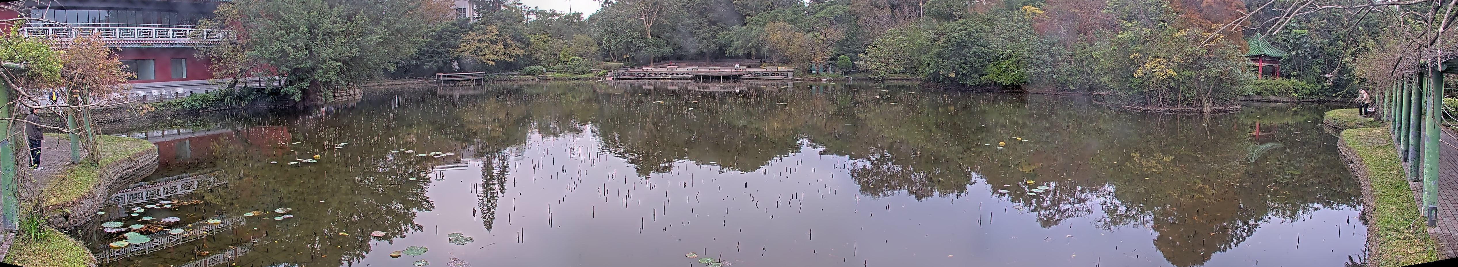 拍照日期:2024-12-28 時間:7時