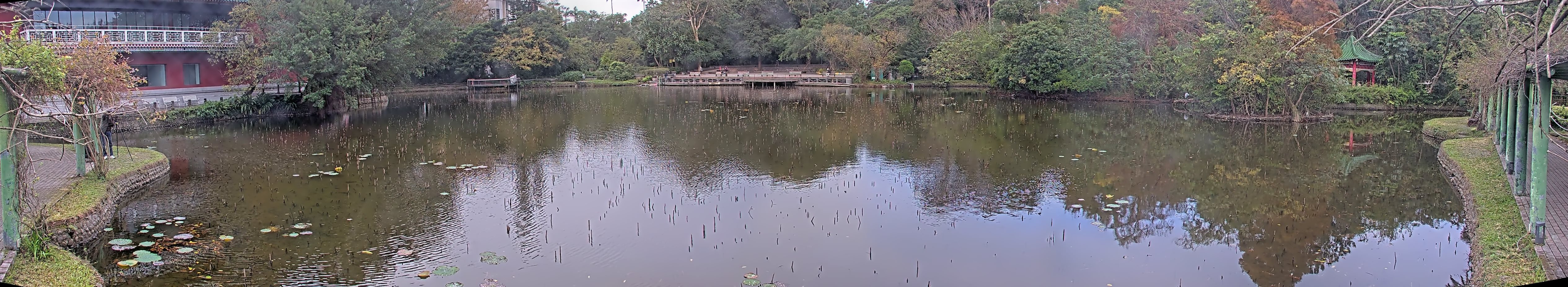 拍照日期:2024-12-28 時間:8時