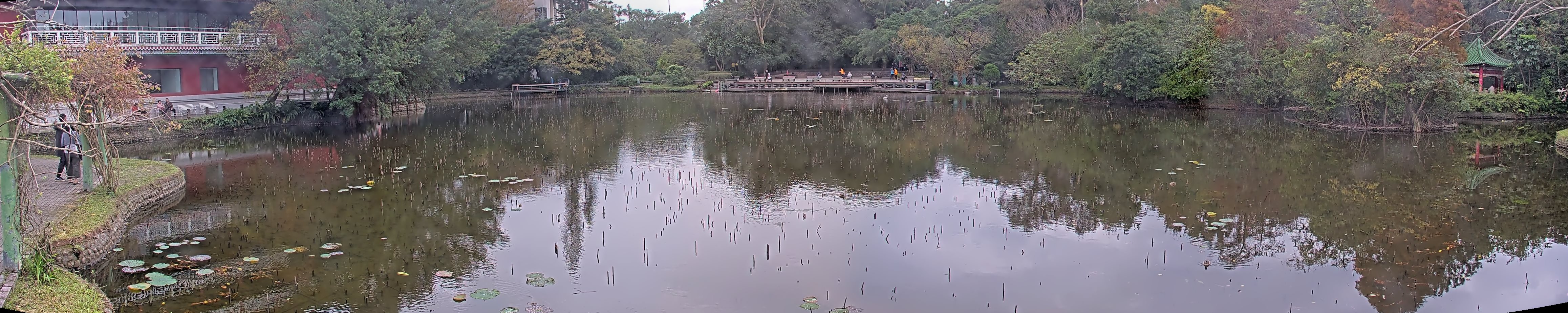 拍照日期:2024-12-28 時間:9時