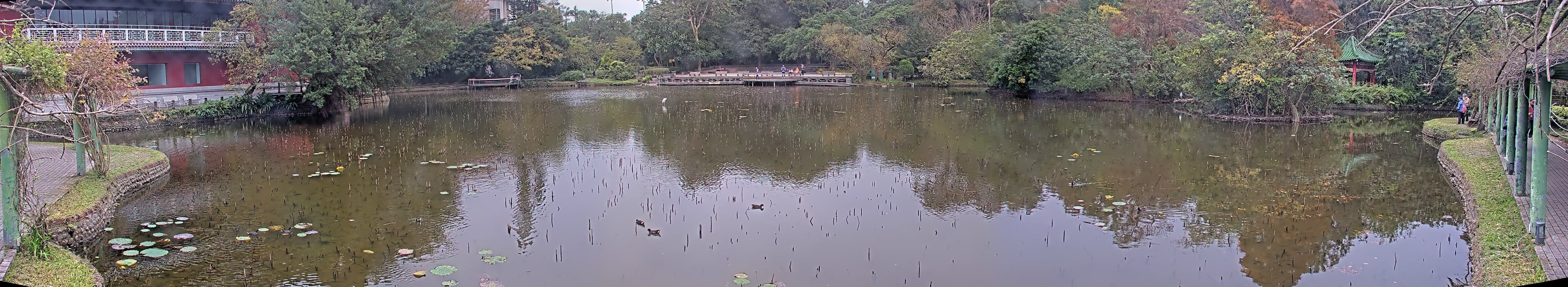 拍照日期:2024-12-28 時間:11時