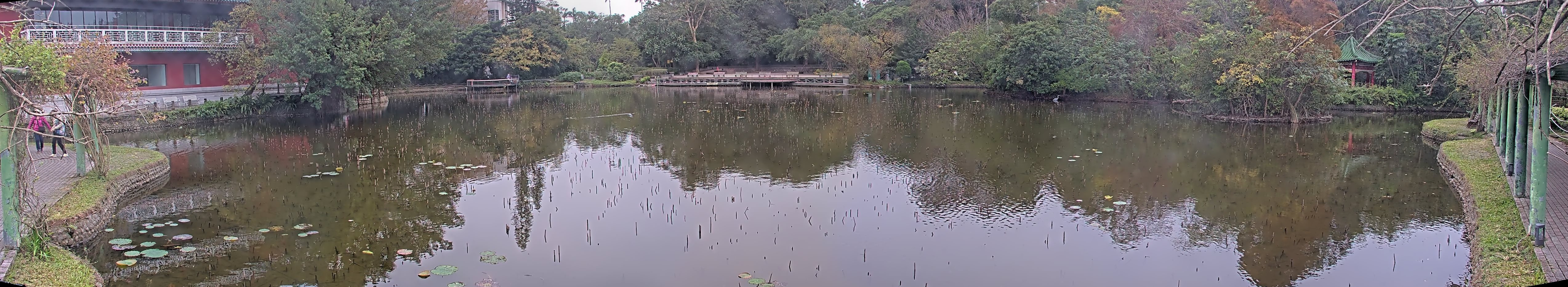 拍照日期:2024-12-28 時間:12時