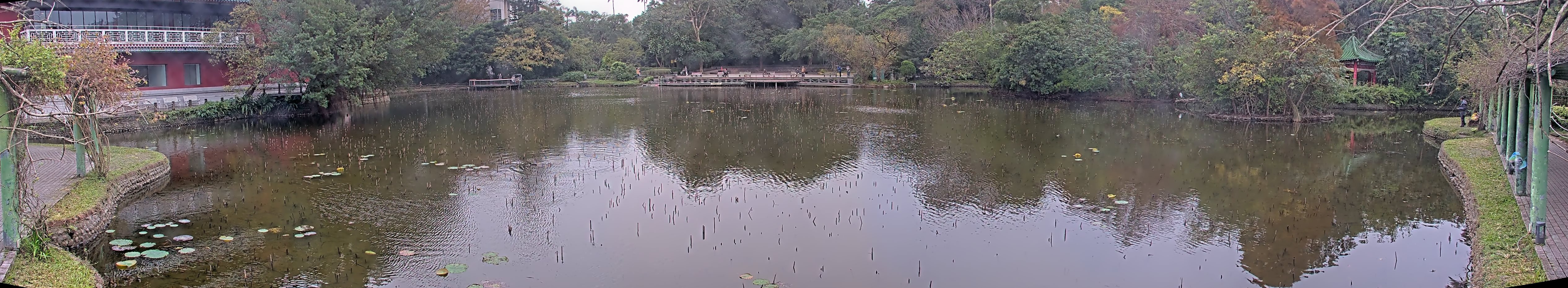 拍照日期:2024-12-28 時間:13時