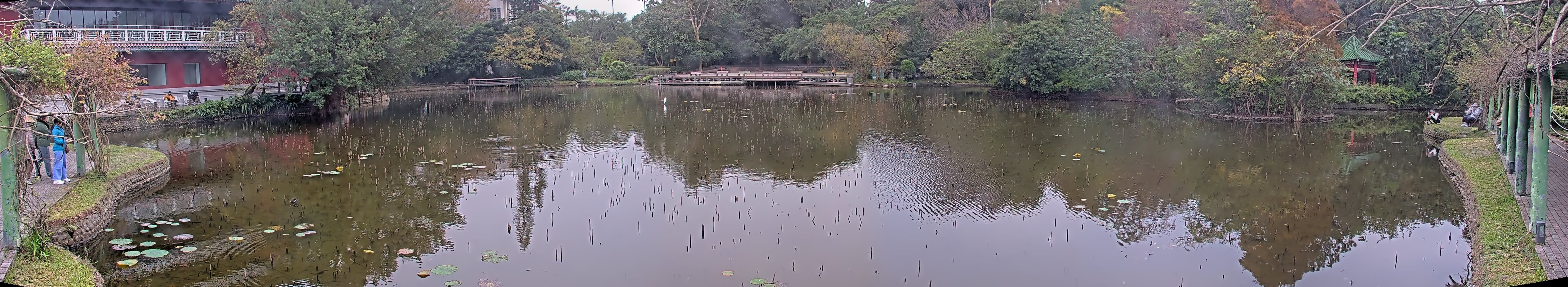 拍照日期:2024-12-28 時間:14時